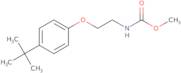 Methyl [2-(4-tert-butylphenoxy)ethyl]carbamate