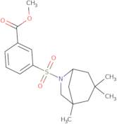 Methyl 3-[(1,3,3-trimethyl-6-azabicyclo[3.2.1]oct-6-yl)sulfonyl]benzoate