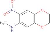 N-Methyl-7-nitro-2,3-dihydro-1,4-benzodioxin-6-amine