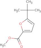 Methyl 5-tert-butyl-2-furoate