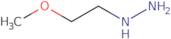 (2-Methoxyethyl)hydrazine