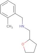 (2-Methylbenzyl)(tetrahydrofuran-2-ylmethyl)amine