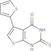 2-Mercapto-5-(2-thienyl)thieno[2,3-d]pyrimidin-4(3H)-one