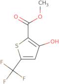 Methyl 3-hydroxy-5-trifluoromethylthiophene-2-carboxylate