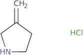 3-Methylenepyrrolidine Hydrochloride