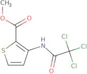 Methyl 3-(2,2,2-trichloroacetamido)thiophene-2-carboxylate