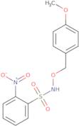 N-((4-Methoxybenzyl)oxy)-2-nitrobenzenesulfonamide