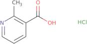 2-Methylpyridine-3-carboxylic acidHydrochloride