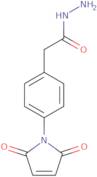 4-Maleimidophenylacetic acidHydrazide