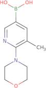 5-Methyl-6-(morpholin-4-yl)pyridine-3-boronicacid