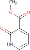 Methyl2-hydroxynicotinate