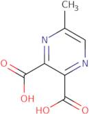 5-Methylpyrazine-2,3-dicarboxylicacid
