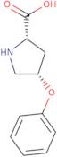 (2S,4S)-Methyl4-phenoxypyrrolidine-2-carboxylate