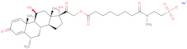 Methylprednisolone suleptanate monosodiumsalt