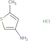 5-Methylthiophen-3-aminehydrochloride