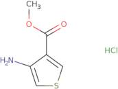 Methyl 4-aminothiophene-3-carboxylate hydrochloride