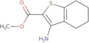 Methyl 3-Amino-4,5,6,7-Tetrahydro-1-Benzothiophene-2-Carboxylate