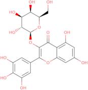 Myricetin-3-galactoside