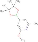 6-Methoxy-2-picoline-4-boronic acid, pinacol ester