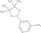 5-Methylpyridine-3-boronic acid pinacol ester