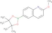 2-Methoxyquinoline-6-boronic acid, pinacol ester