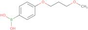 4-(3-Methoxypropoxy)phenylboronic Acid