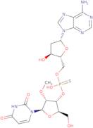 2'-O-Methyl-p-thiouridynyl-(3'->5')-2'-deoxyadenosine