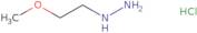 (2-Methoxyethyl)hydrazine HCl