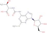 2-Methylthio-N6-threonylcarbamoyladenosine