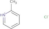 2-Methylpyridine hydrochloride