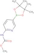 2-Methoxycarbonylaminopyridine-5-boronic acid pinacol ester