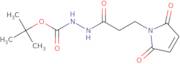 3-(Maleimidopropane-1-carbonyl-1-(tert-butyl)carbazate