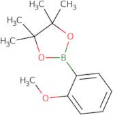 2-Methoxyphenylboronic acid pinacol ester