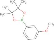 3-Methoxyphenylboronic acid pinacol ester