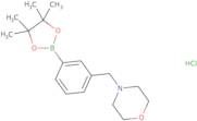 3-[(Morpholino)methyl]phenylboronic acid pinacol ester hydrochloride