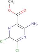 Methyl 3-amino-5,6-dichloro-2-pyrazine carboxylate