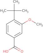 3-Methoxy-4-t-Butyl-Benzoic acid