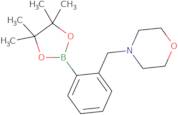 2-(MorpholinoMethyl)phenylboronic acid pinacol ester