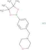 4-((Morpholino)Methyl)phenylboronic acid pinacol ester hydrochloride