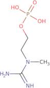 2-(1-Methylguanidino)ethyl dihydrogen phosphate