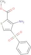 Methyl 3-amino-4-(benzenesulfonyl)thiophene-2-carboxylate