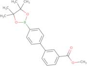 Methyl 4'-(4,4,5,5-tetramethyl-1,3,2-dioxaborolan-2-yl)-[1,1'-biphenyl]-3-carboxylate