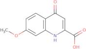 7-Methoxy-4-oxo-1,4-dihydroquinoline-2-carboxylic acid