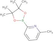 2-Methyl-6-(4,4,5,5-tetramethyl-1,3,2-dioxaborolan-2-yl)pyridine