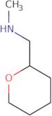 Methyl-(tetrahydropyran-2-ylmethyl)amine