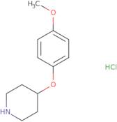 4-(4-Methoxyphenoxy)Piperidine Hydrochloride