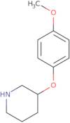 3-(4-Methoxyphenoxy)Piperidine Hydrochloride