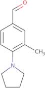 3-Methyl-4-pyrrolidin-1-ylbenzaldehyde