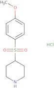 4-[(4-methoxyphenyl)sulfonyl]piperidine hydrochloride