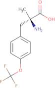 a-Me-D-Phe(4-OCF3)-OH